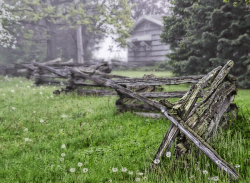 Fenceline