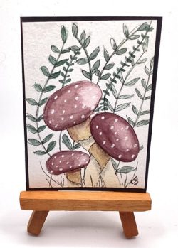 Mushrooms ATC Mushrooms ATC