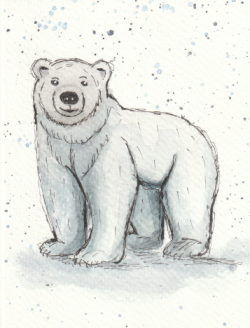 Watercolour Polar Bear Watercolour Polar Bear
