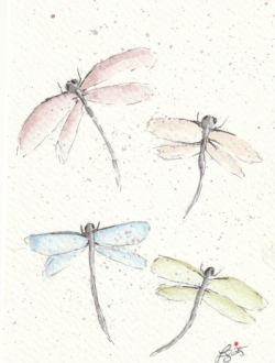 Watercolour Butterflies Watercolour Butterflies