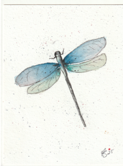 Dragon Fly Dragon Fly